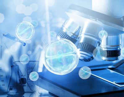 利來ag旗艦廳品：四季度宏觀面轉(zhuǎn)弱 資產(chǎn)“泡沫”面臨破裂